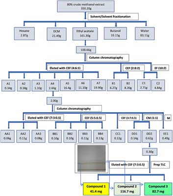Bioassay Guided Fractionation of Senna singueana and Its Potential for Development of Poultry Phytogenic <mark class="highlighted">Feed Additives</mark>